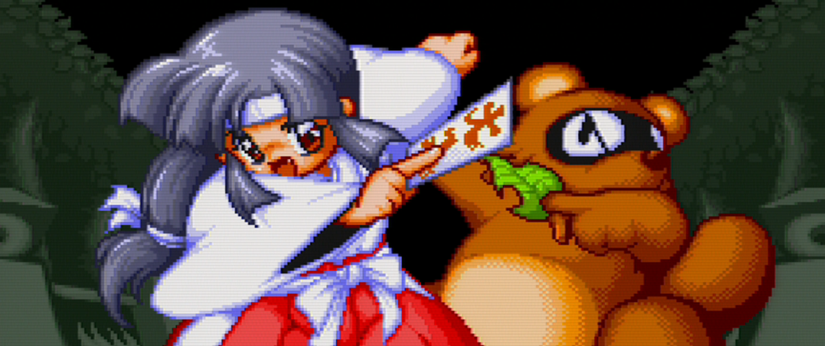Vous voulez en savoir plus sur Pocky & Rocky 2 ?